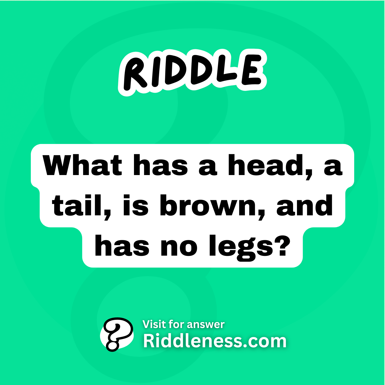 What has a head, a tail, is brown, and has no legs