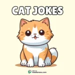 100+ Funniest Cat Jokes & Puns – For Kids and Adults