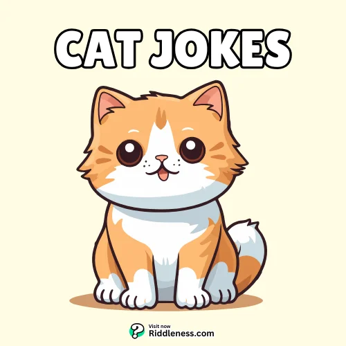 Cat-Jokes