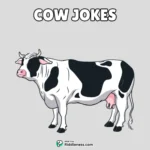 100+ Cow Jokes – Udderly Hilarious Moo-ments for All Ages!