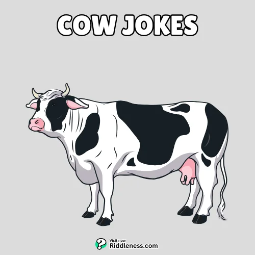 Cow-Jokes