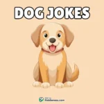 100+ Funniest Dog Jokes & Puns – For Kids & Adults