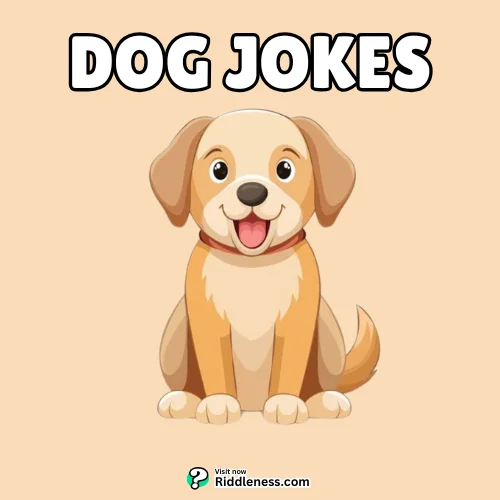 Dog-Jokes