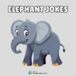 100+ Elephant Jokes – Big Laughs from the Largest Land Animal!