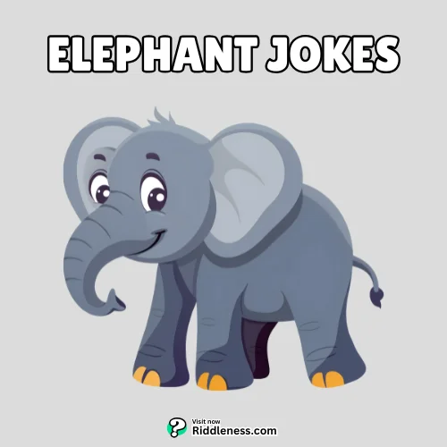 Elephant-Jokes