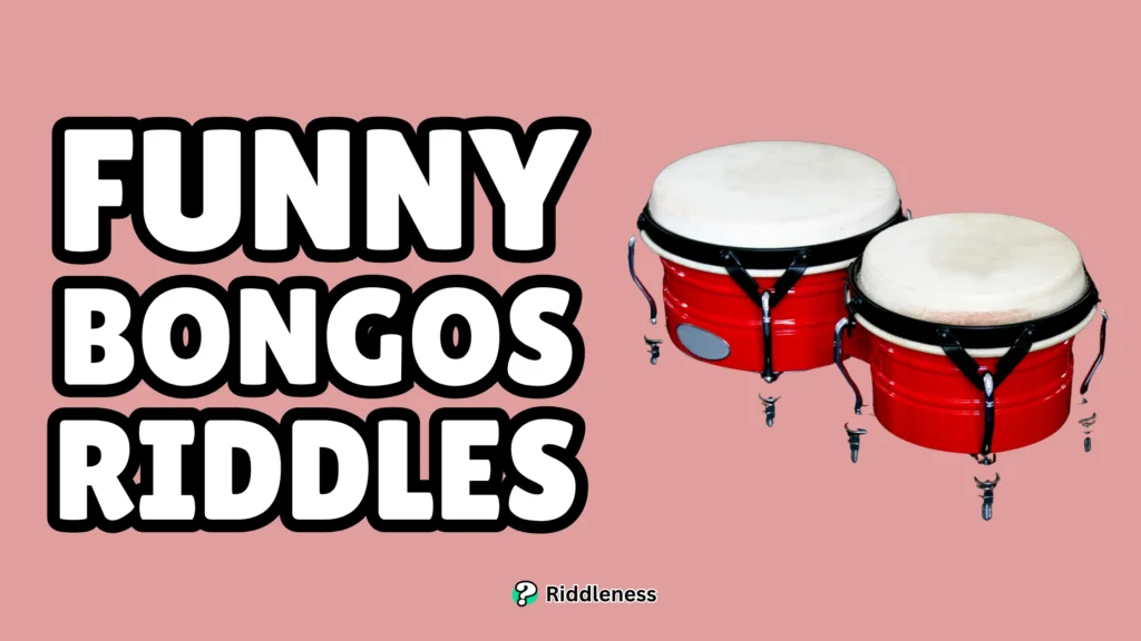 Funny-Bongos-Riddles
