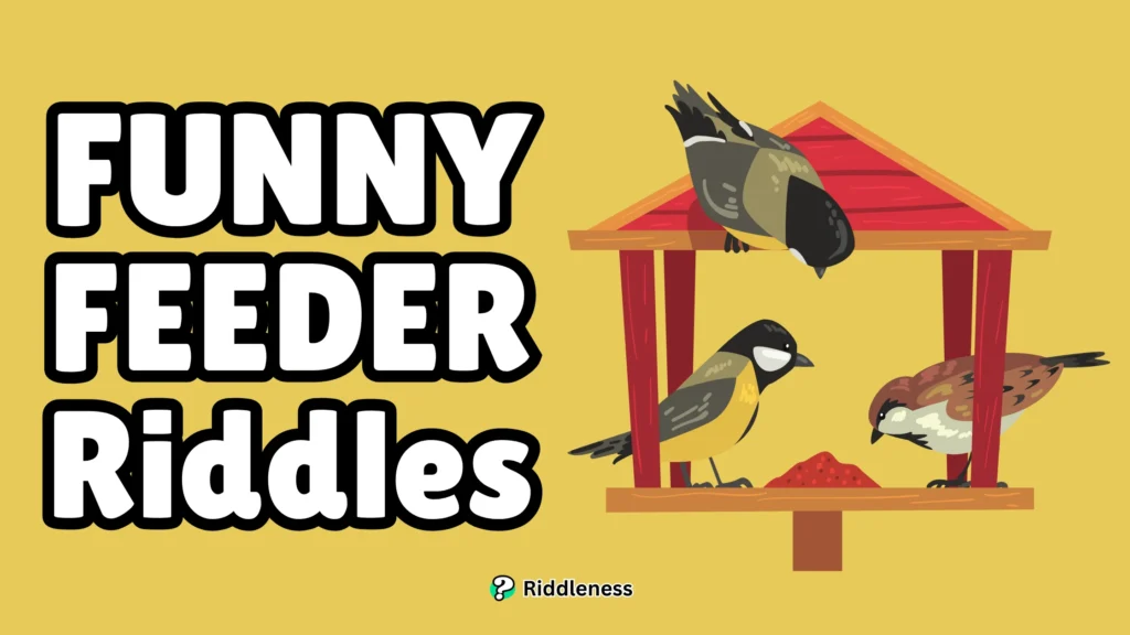 Funny-Feeder-Riddles