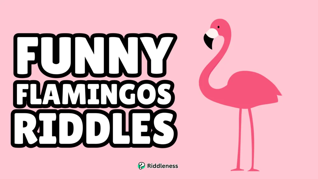 Funny-Flamingos-Riddles