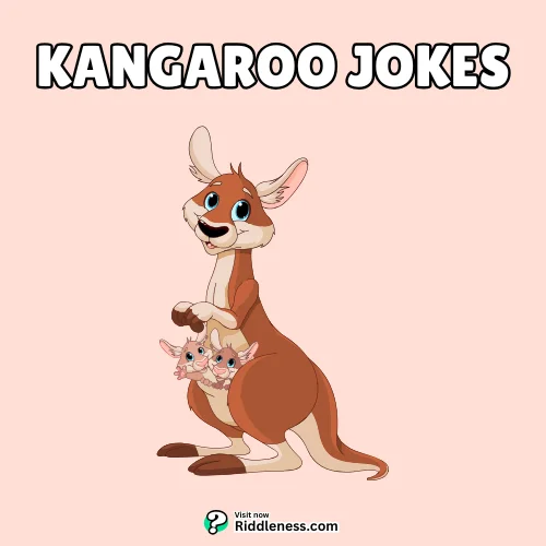 Kangaroo-Jokes