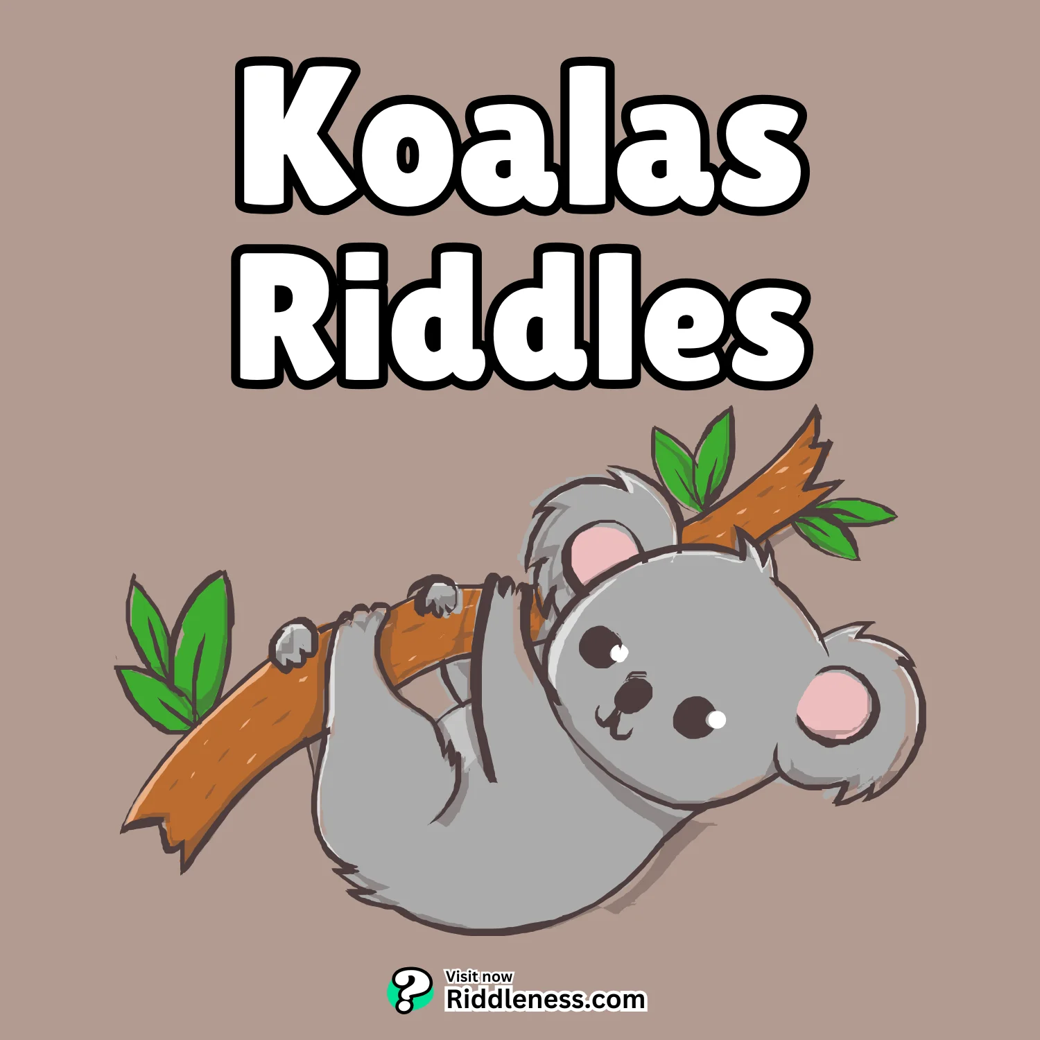 Koalas-Riddles