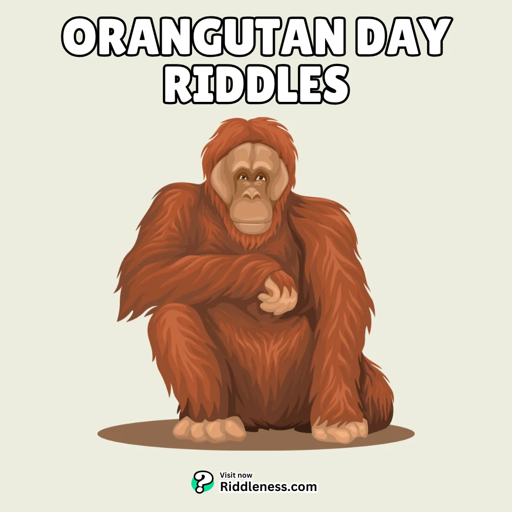 Orangutan-Day-riddles