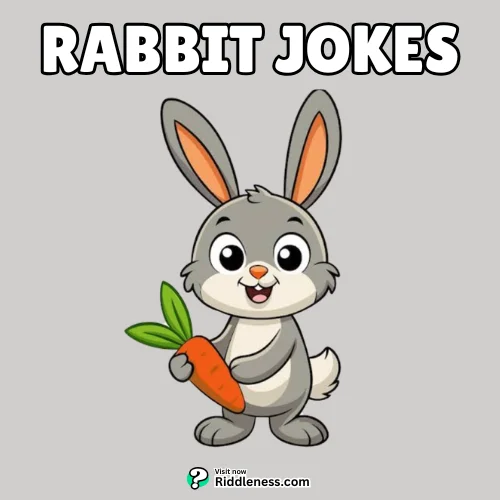 Rabbit-Jokes