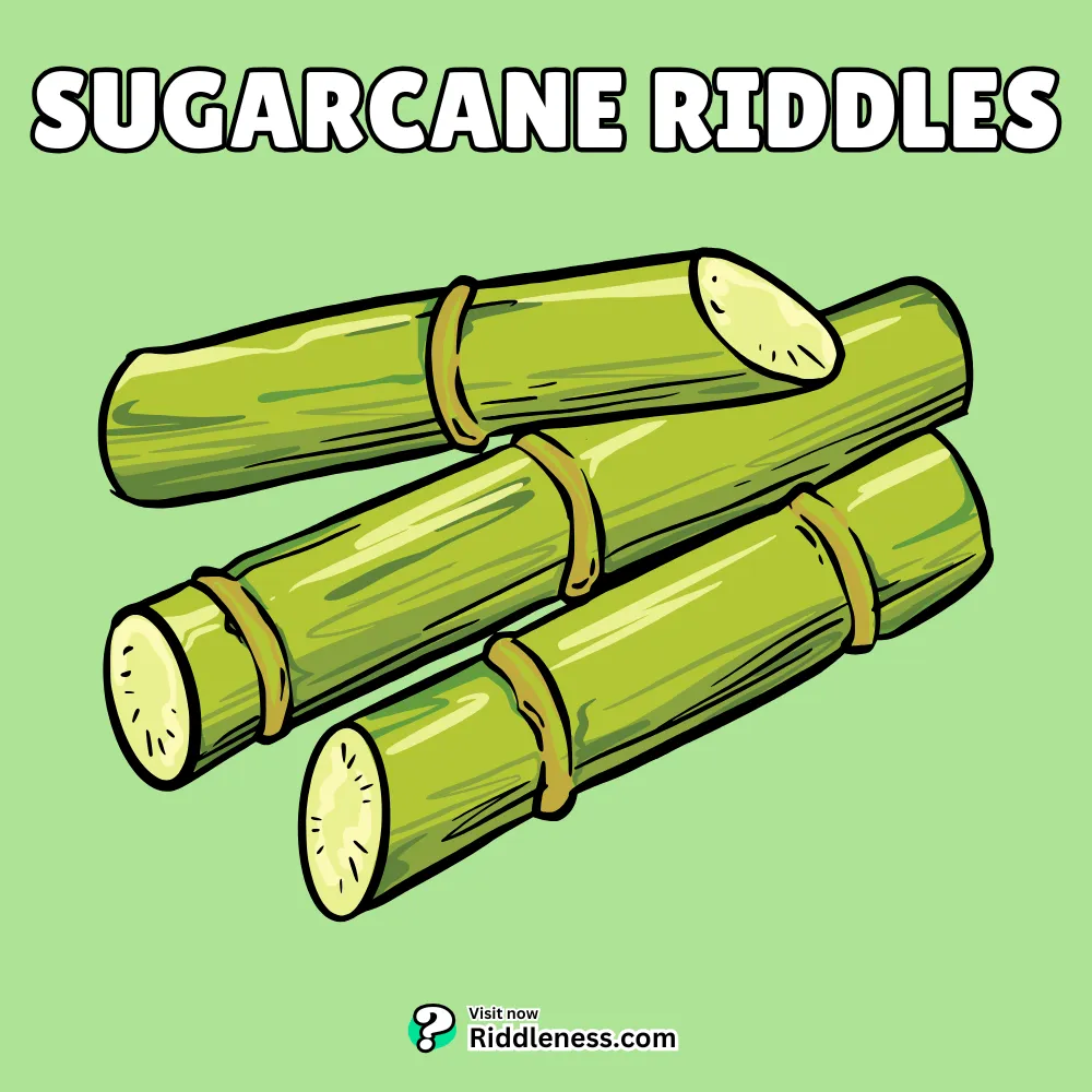 Sugarcane-Riddles