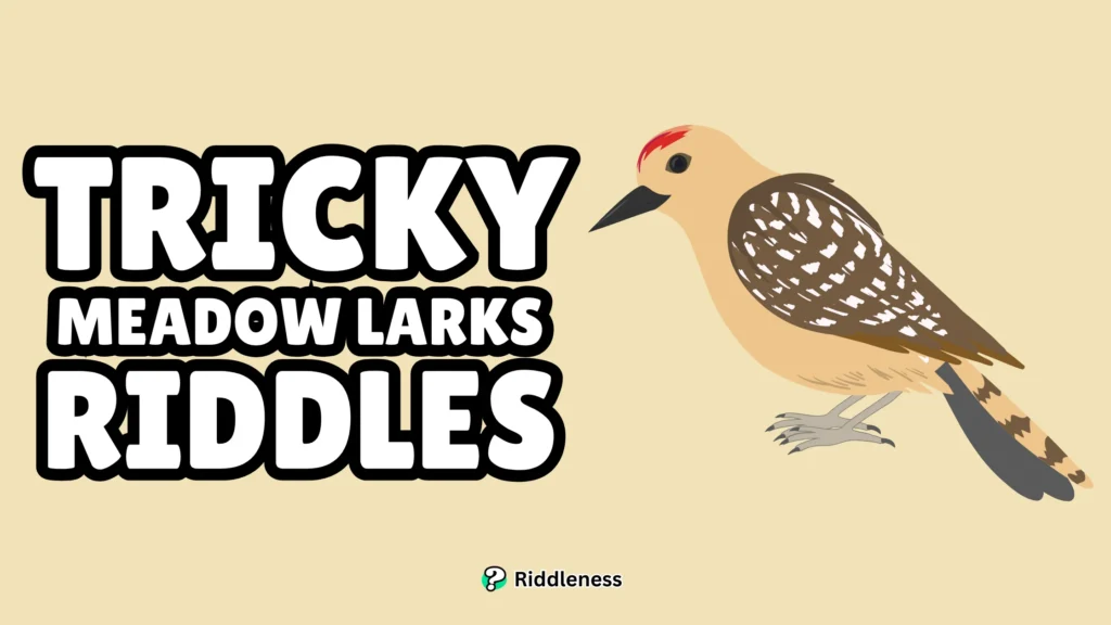 Tricky-Meadow-Larks-Riddles
