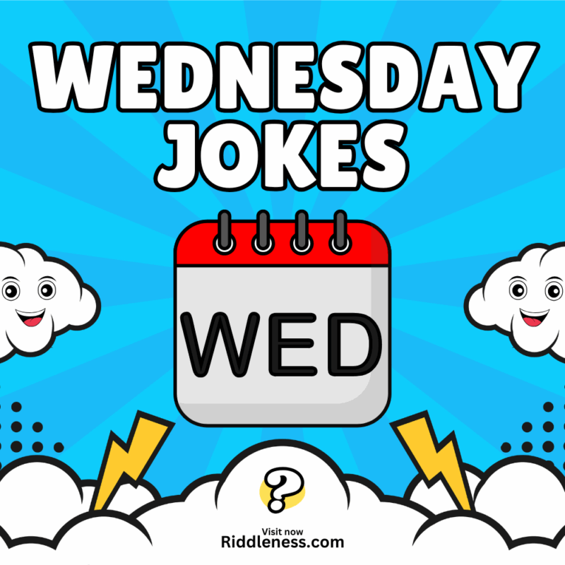 80+ Donkey Jokes – Hee-Haw With Laughter! - Riddleness