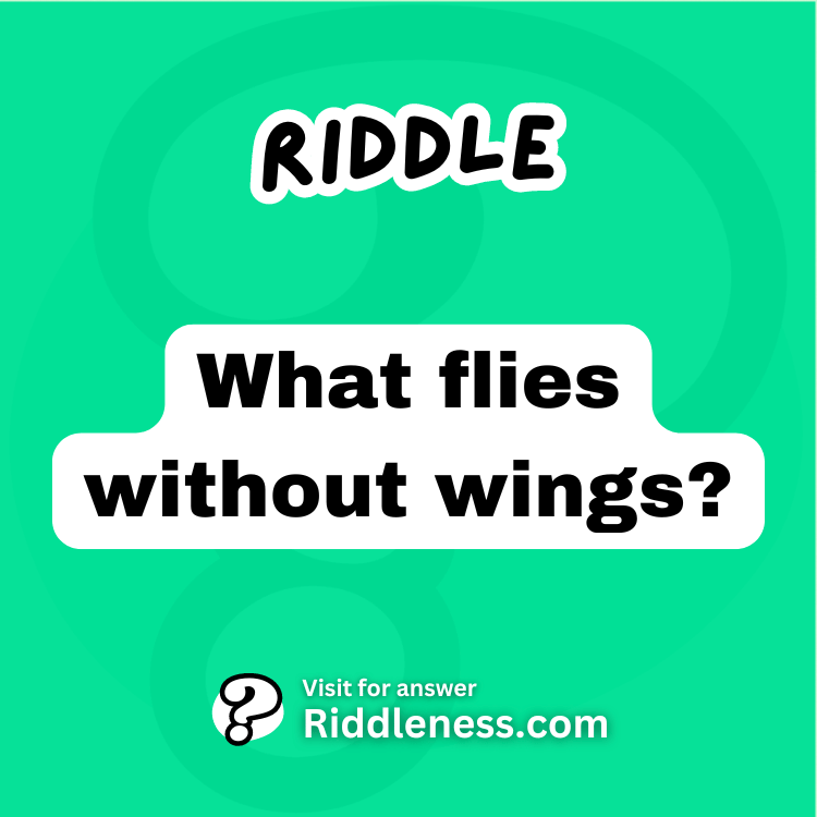 What flies without wings