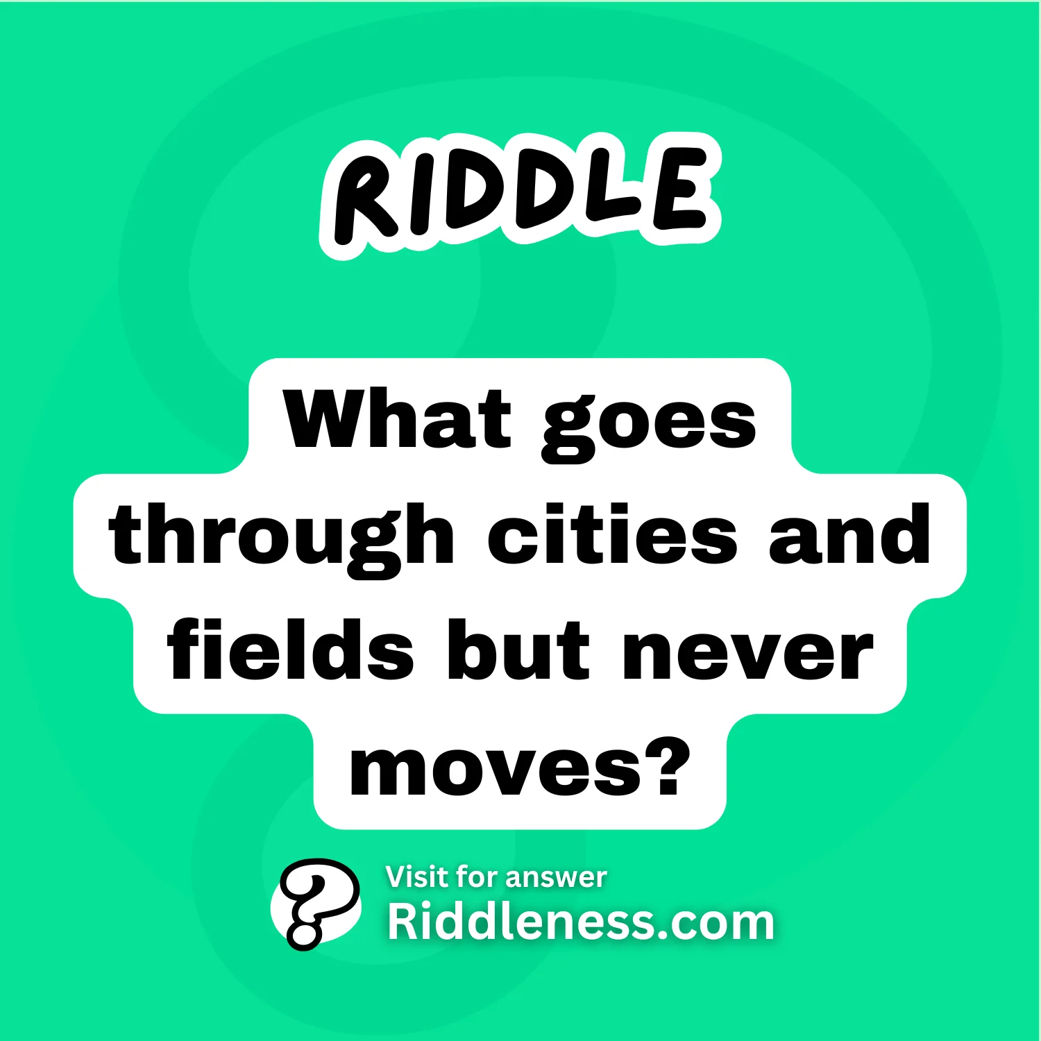 What goes through cities and fields but never moves