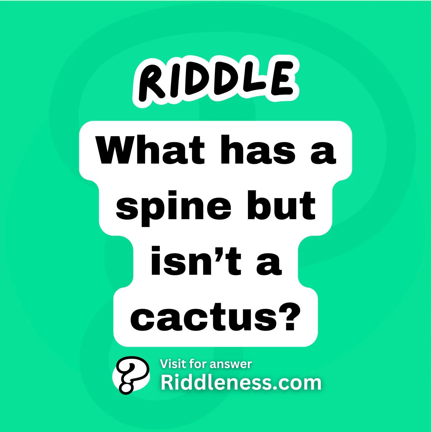 What has a spine but isn’t a cactus