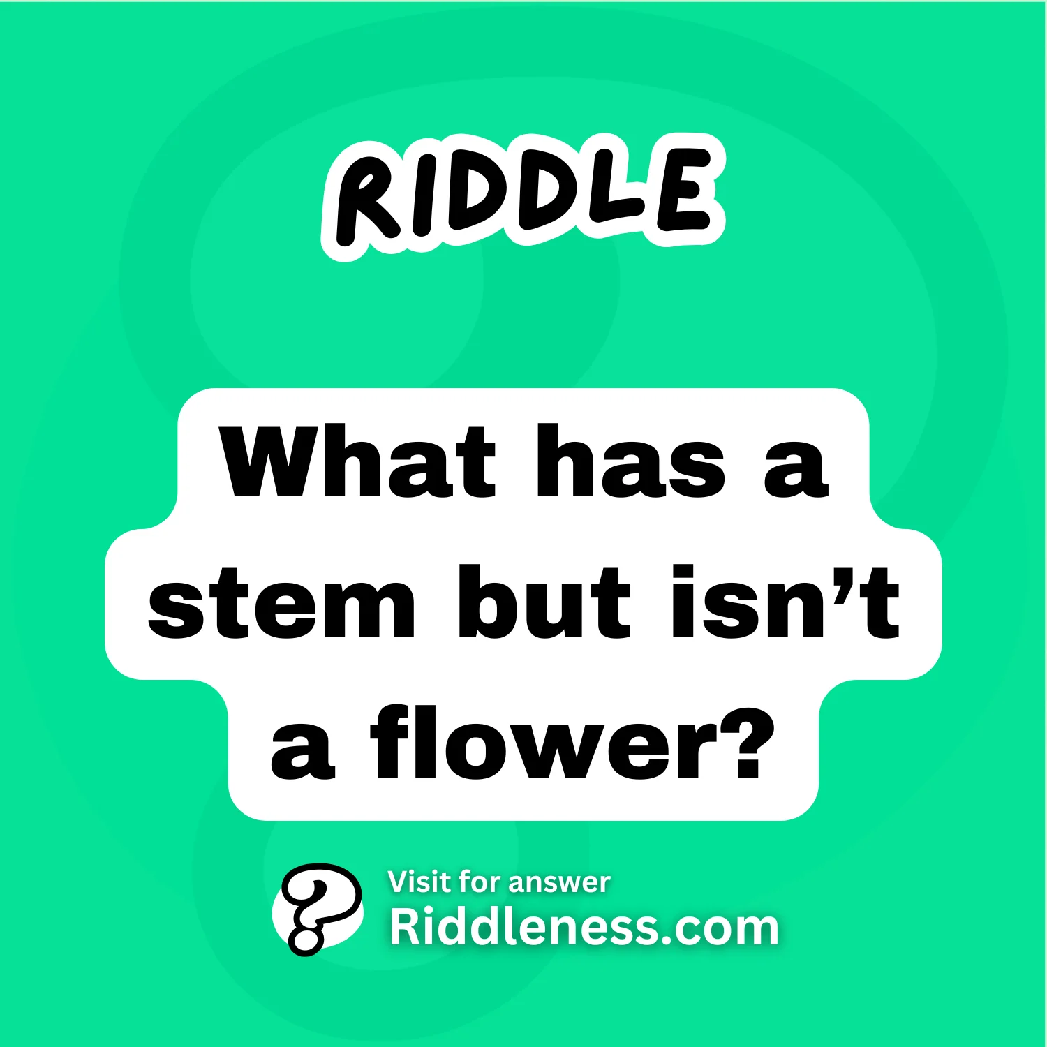 What has a stem but isn’t a flower