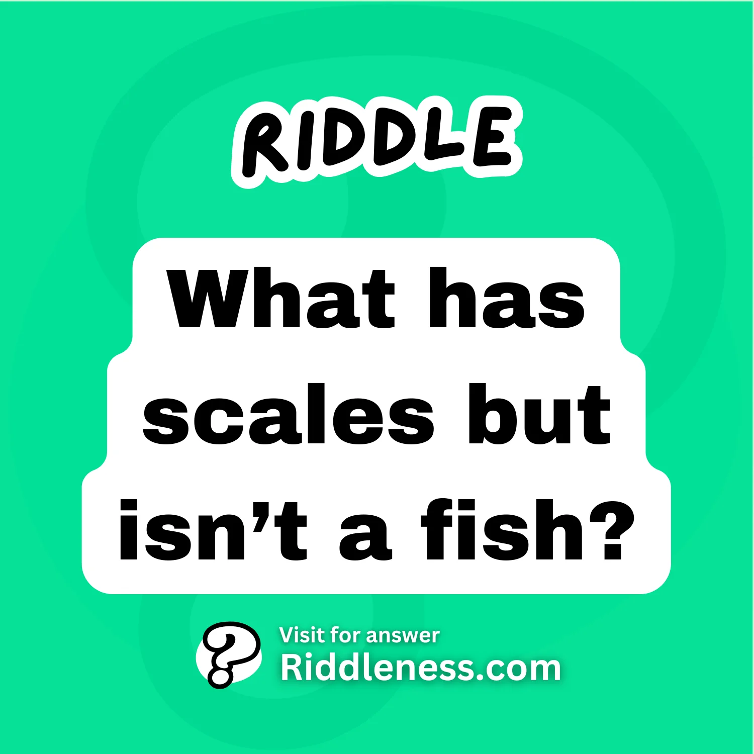 What has scales but isn’t a fish