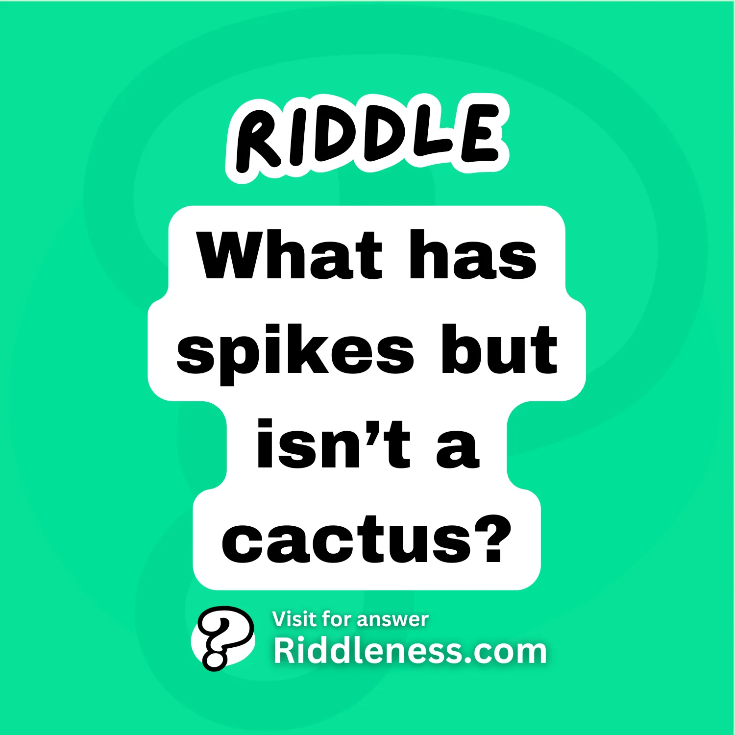 What has spikes but isn’t a cactus