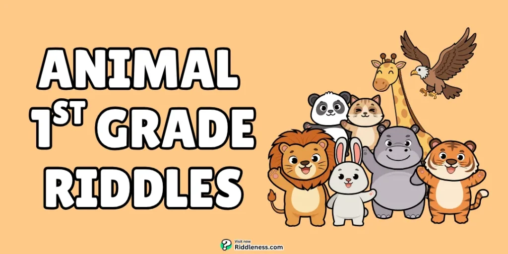 best-animal-riddles-for-1st-graders