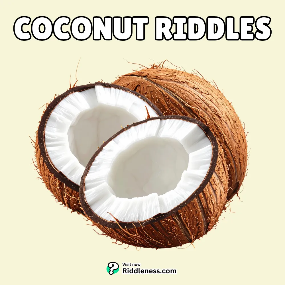coconut-Riddles
