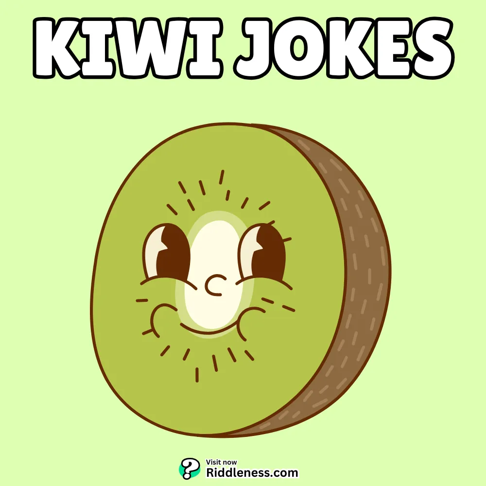 70+ Kiwi Jokes and Puns