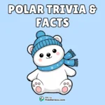 80+ Polar Trivia & Facts (Fun Questions and Answers Quiz)