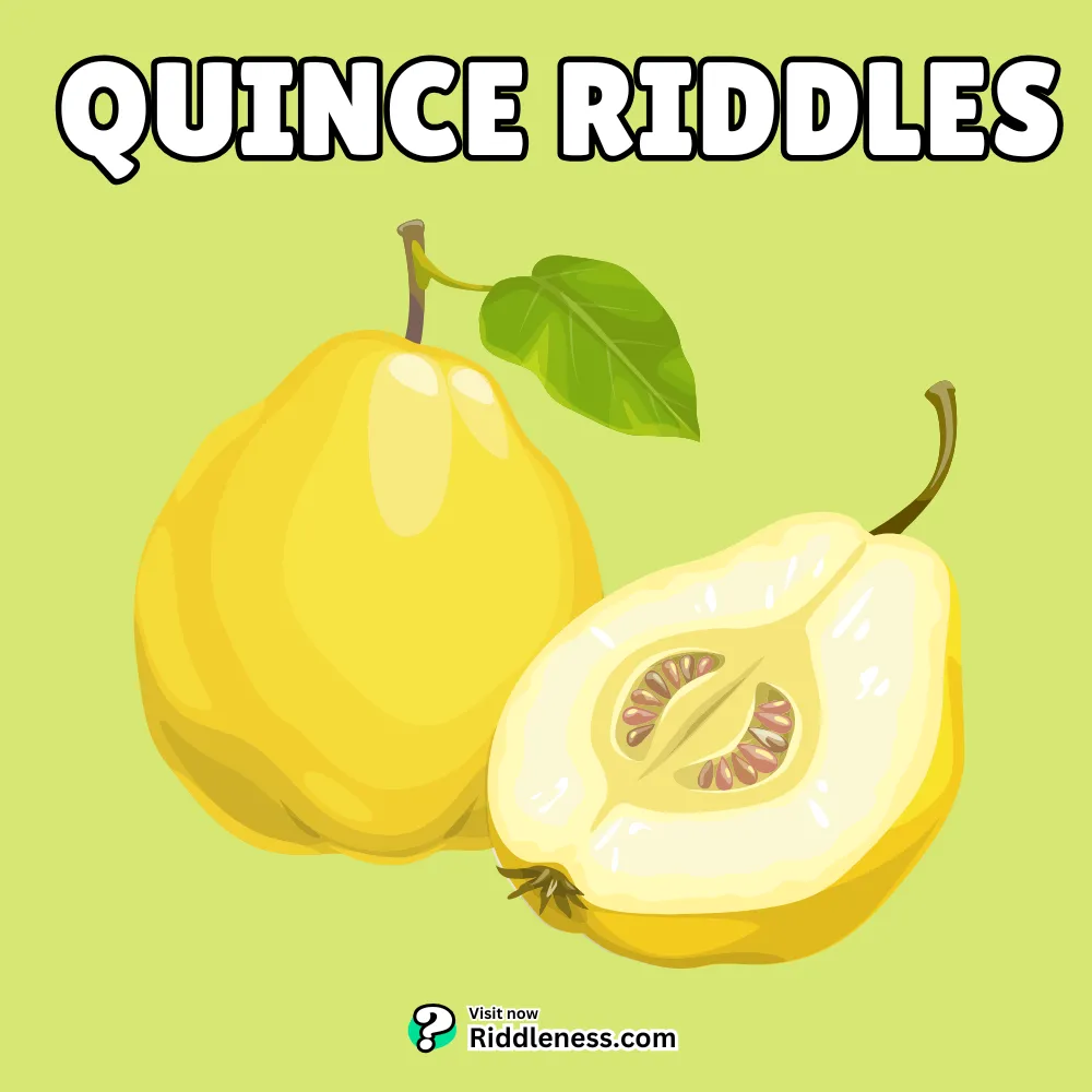 quince-Riddles