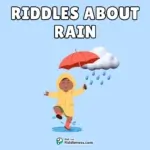 rain-riddles